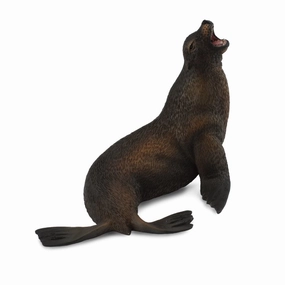 Sea Lion