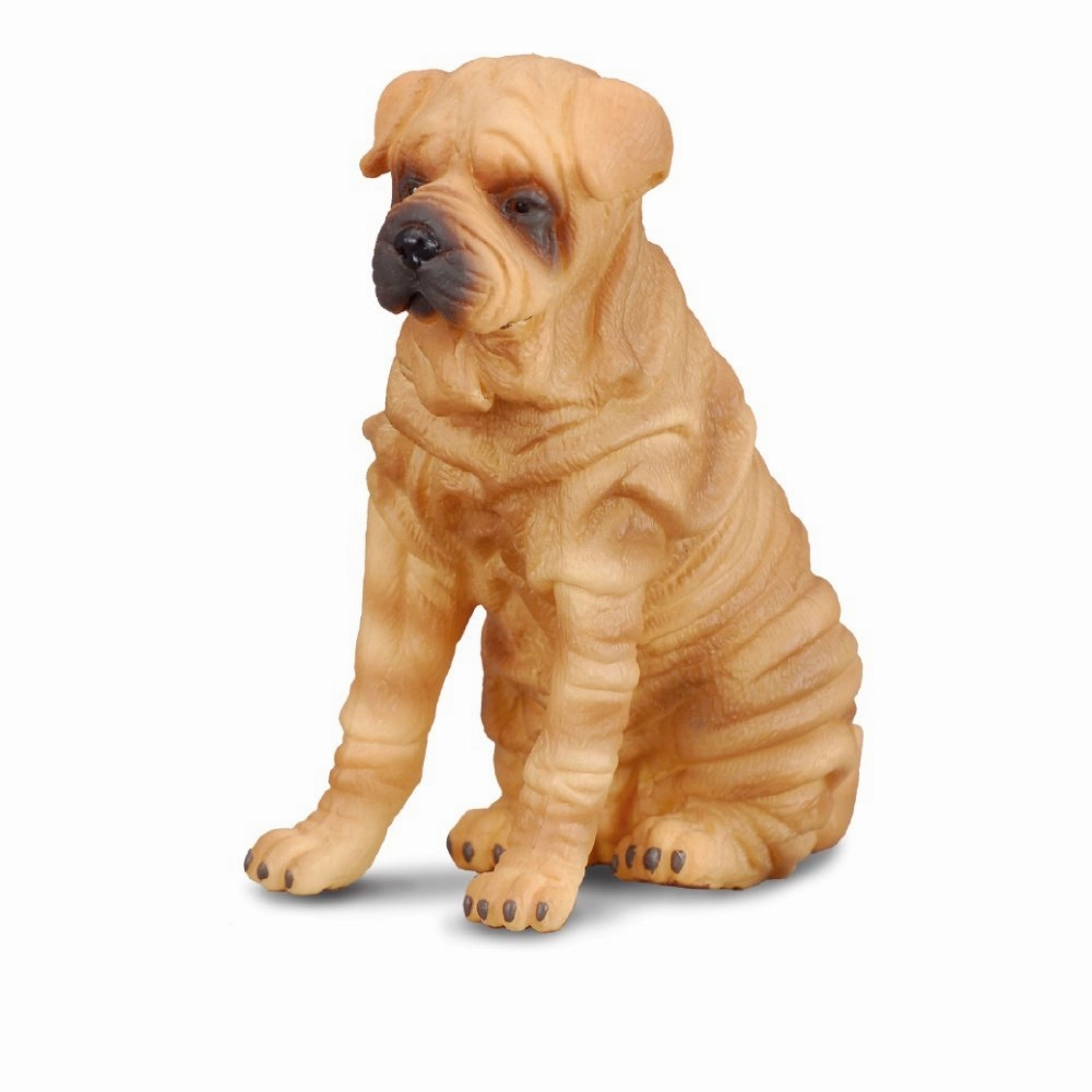 Shar Pei