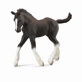 Shire Horse Foal Black