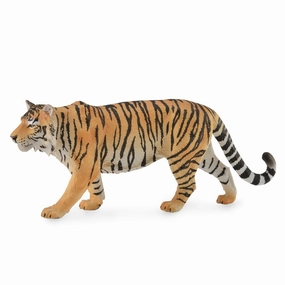 Siberian Tiger