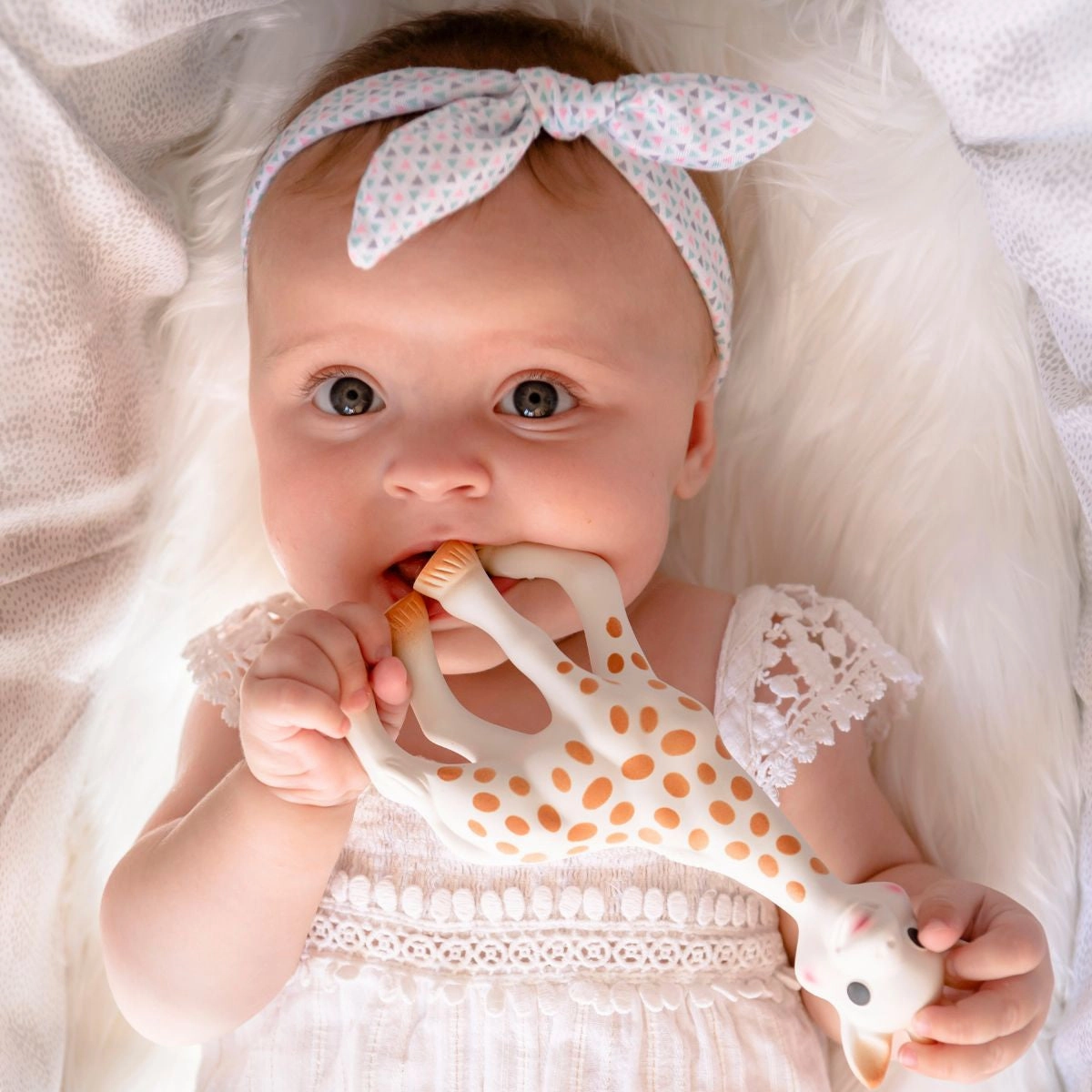 Sophie The Giraffe  | White Box