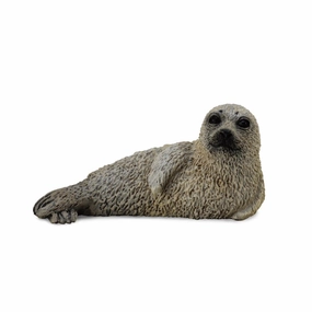 Spotted Seal Pup