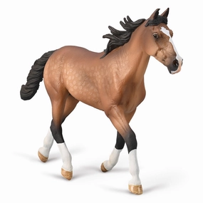 Standardbred Pacer Stallion (Bay)