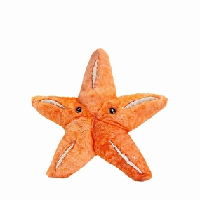 Starfish 25cm keeleco