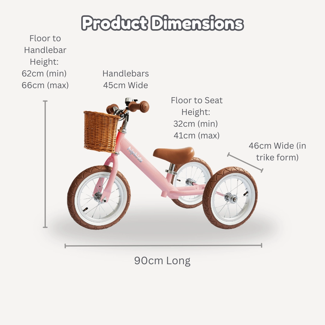 Steel 2 in 1 Trike with Carry Strap Bundle