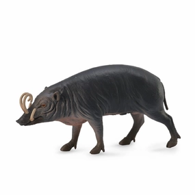 Sulawesi Babirusa