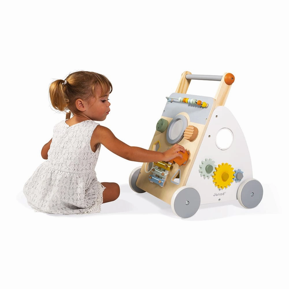 Sweet Cocoon - Multi Activity Baby Walker