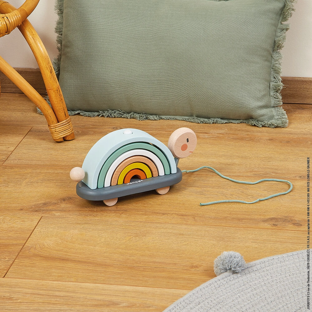 Sweet Cocoon - Rainbow Turtle