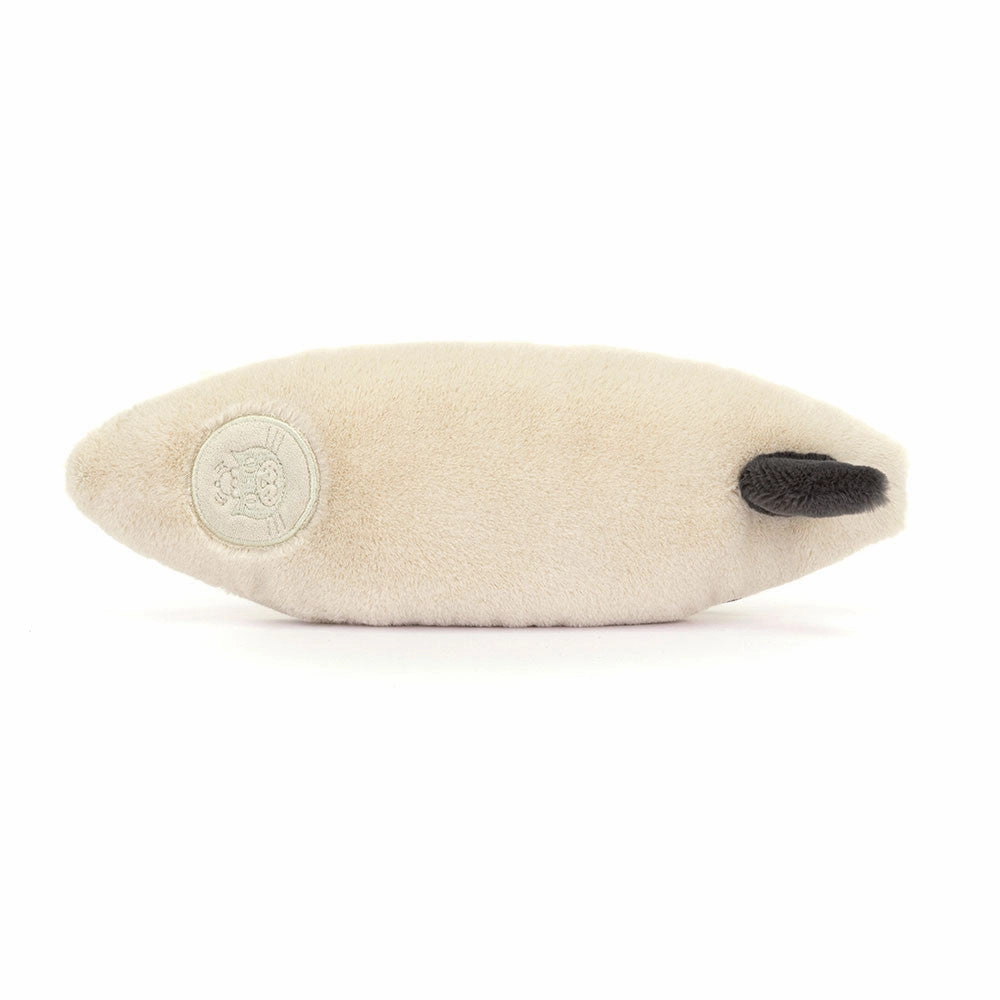 Teddy - Amuseables Sports Surfboard