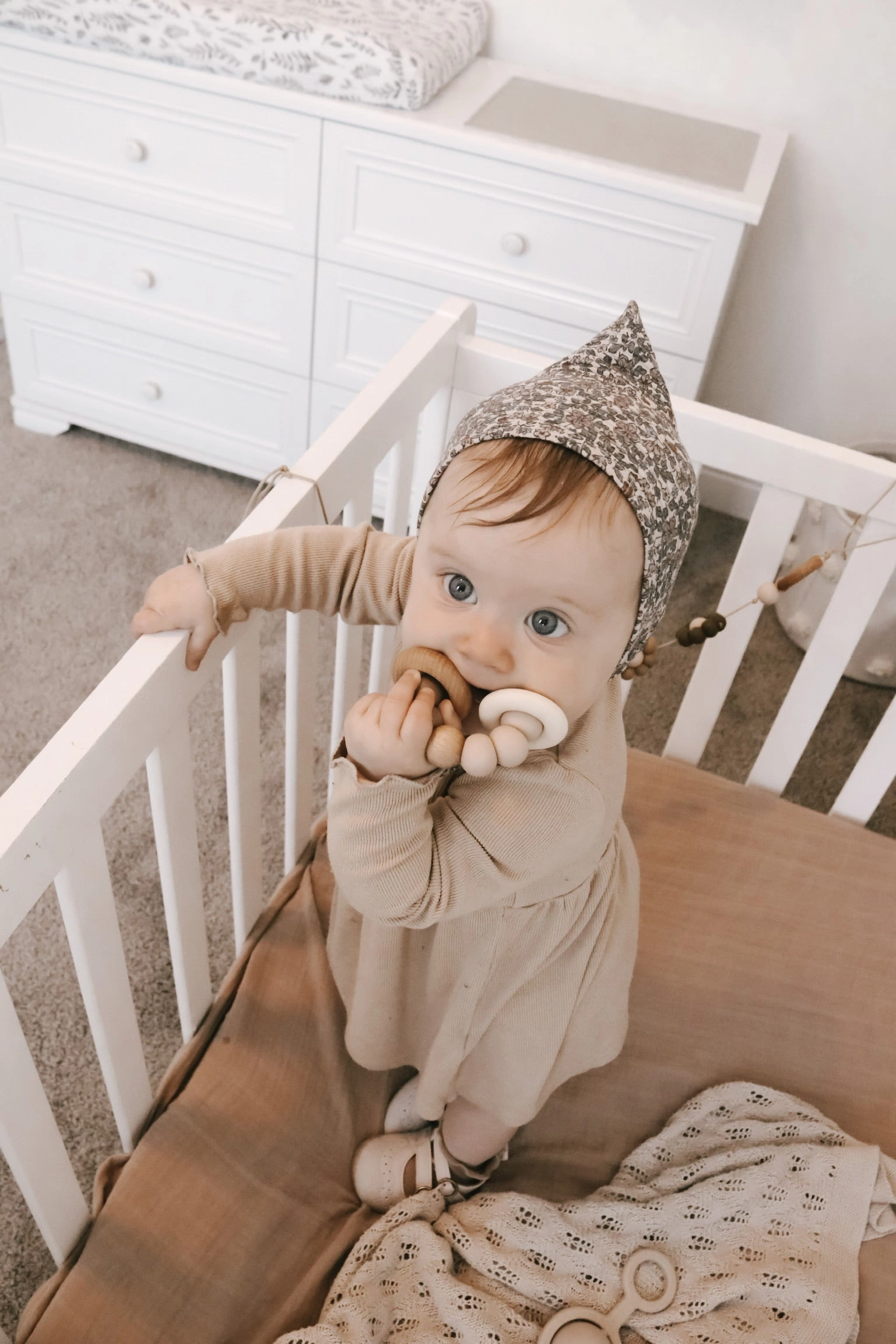 Teether  - Roy | Maple