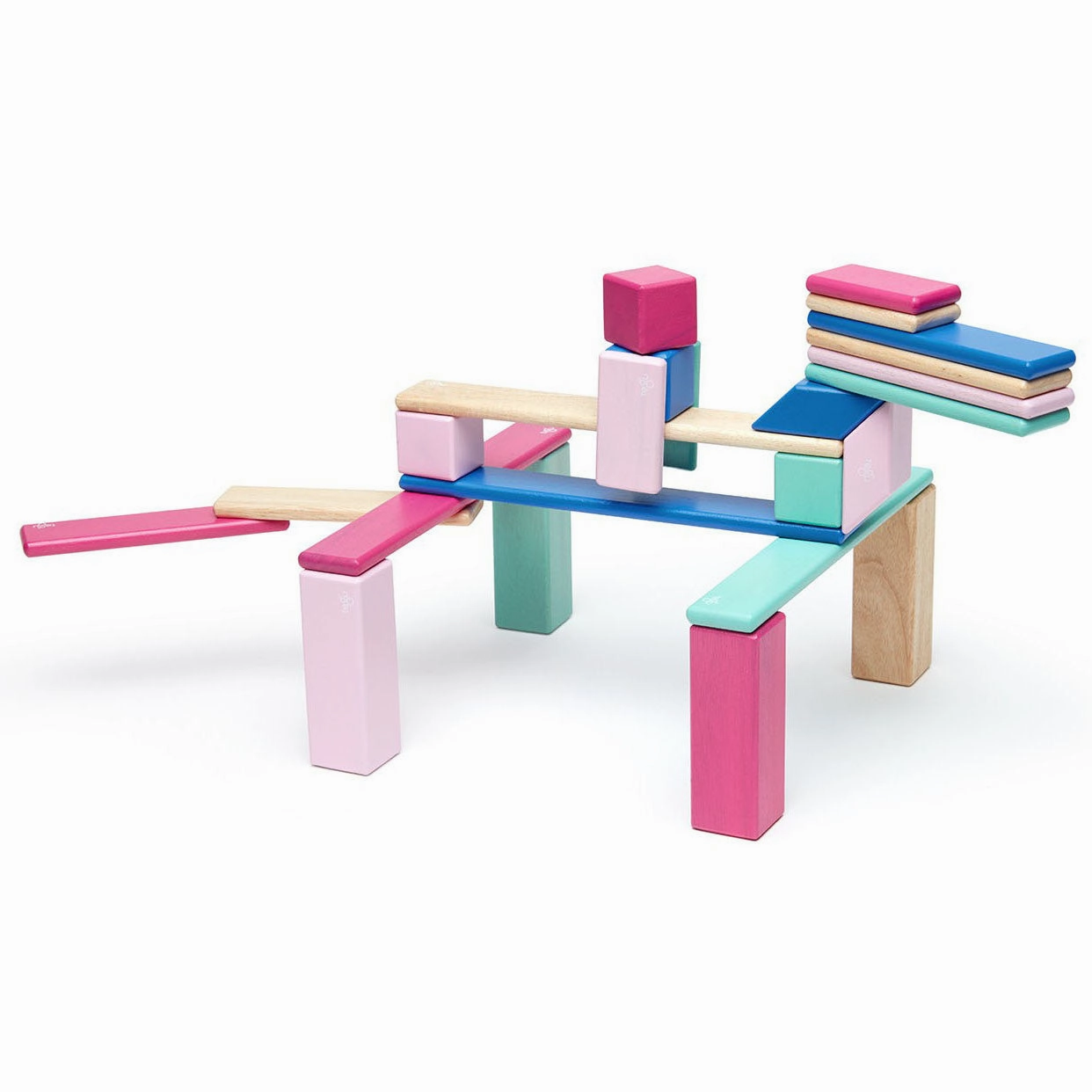Tegu 24 Piece Set in Blossom