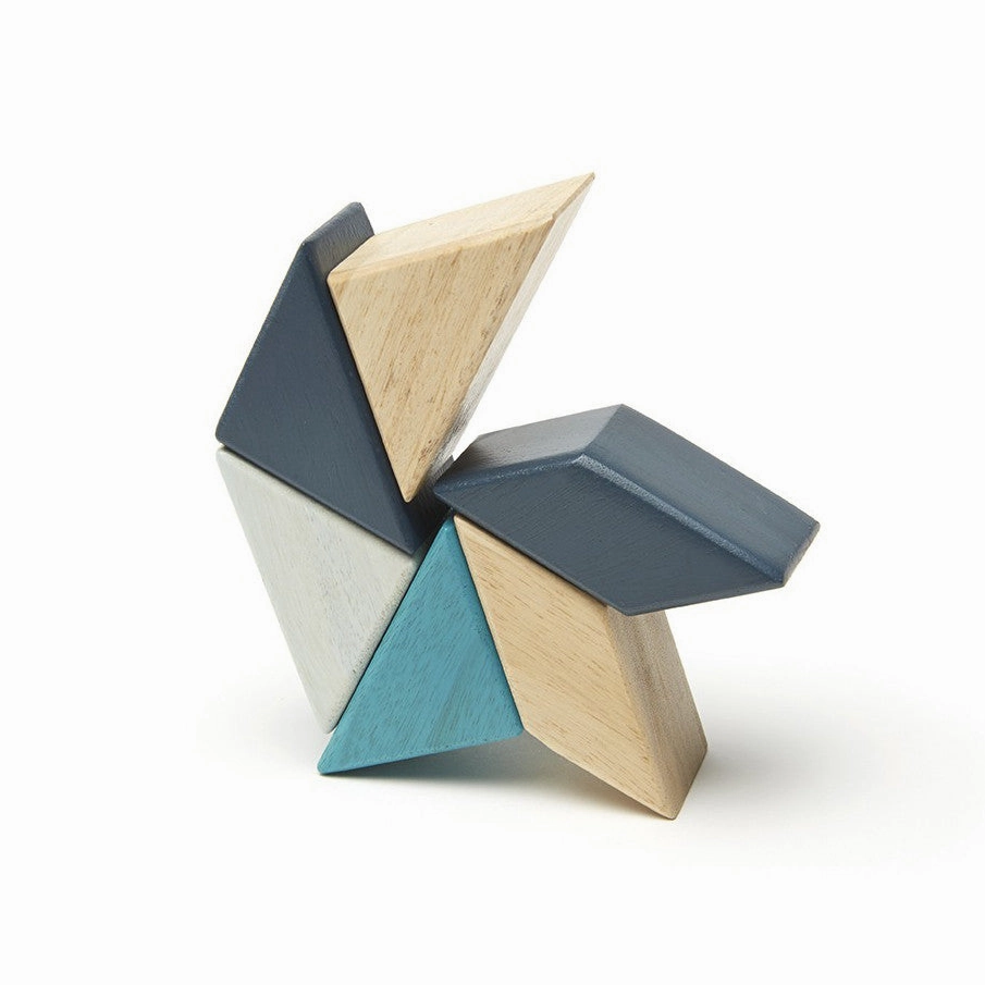Tegu Blues Prism Pocket Pouch