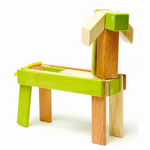 Tegu Jungle Magnetic Wooden Block 24 Pieces