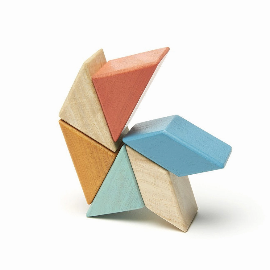 Tegu Sunset Prism Pocket Pouch