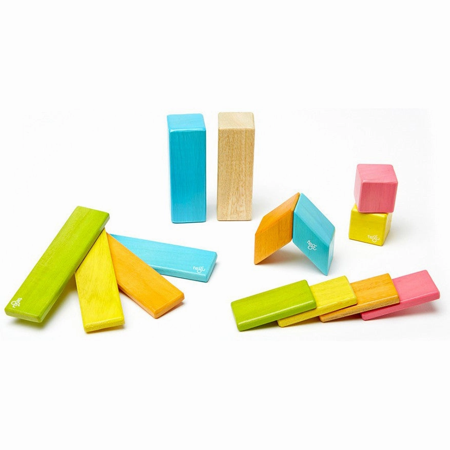 Tegu Tints Magnetic Wooden Block 14 Pieces