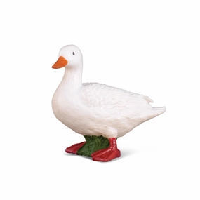 White Duck