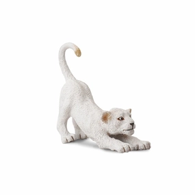 White Lion Cub Stretching