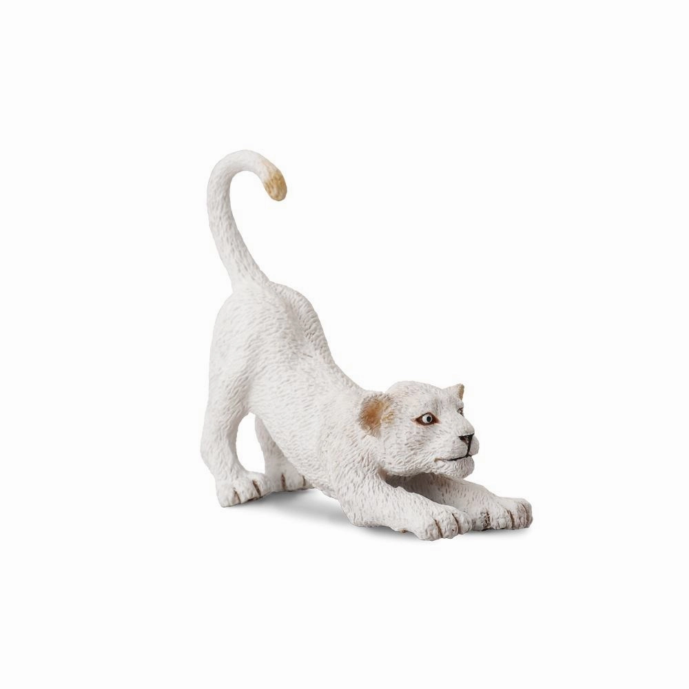 White Lion Cub Stretching