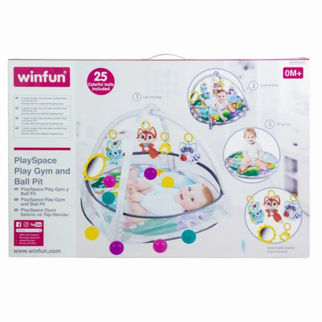 Winfun Play Space Play Gym/Ball Pit - Multi Color - Newborn and up