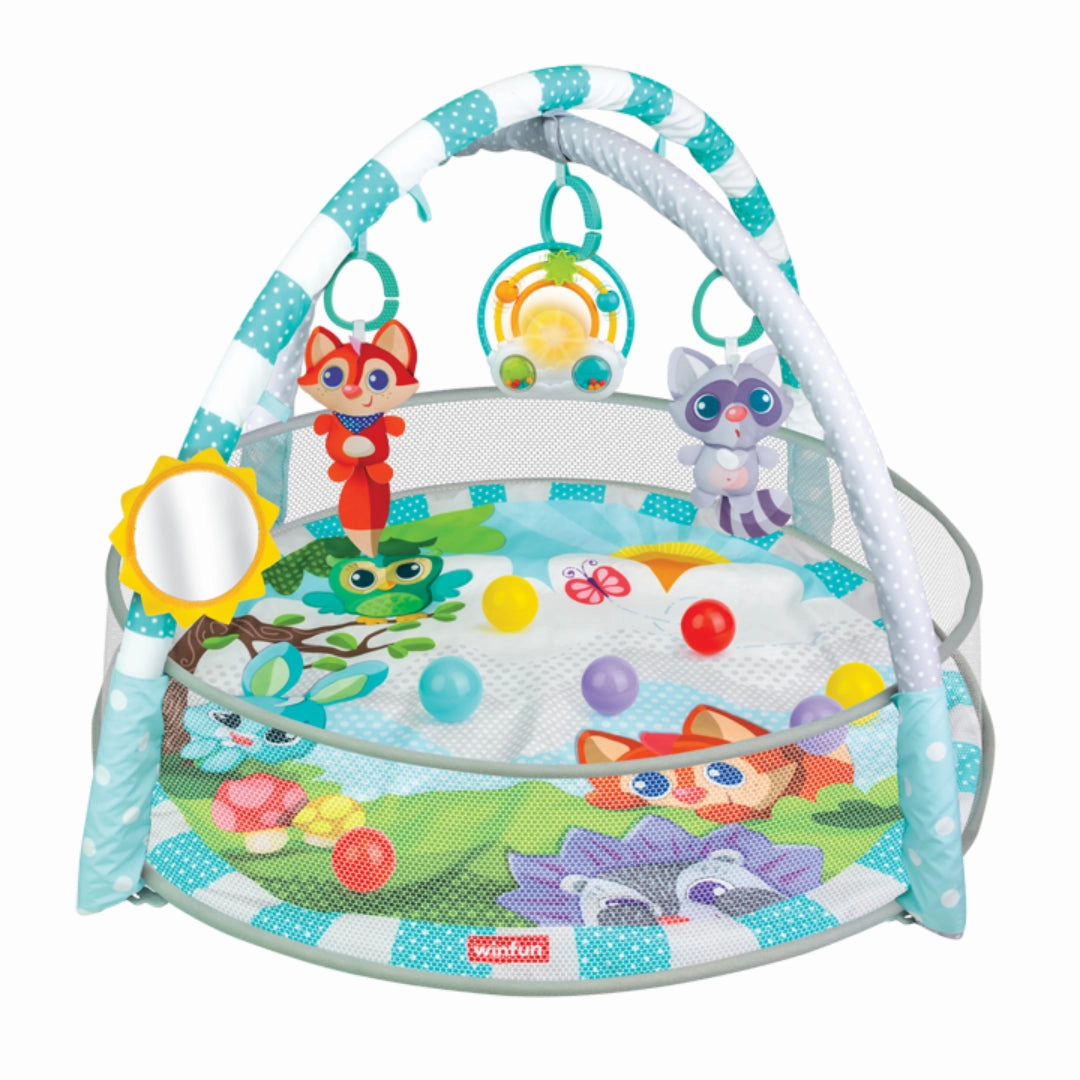 Winfun Play Space Play Gym/Ball Pit - Multi Color - Newborn and up