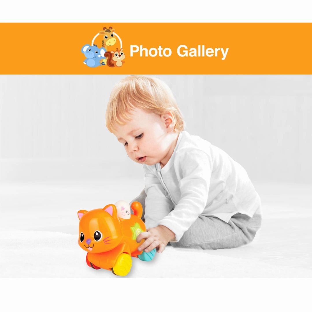 Winfun Press 'N Go Pet Kitten Toy