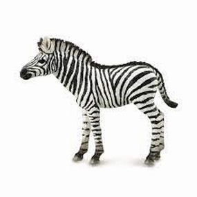 Zebra Foal figurine